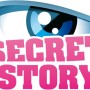 Secret Story 5 logo